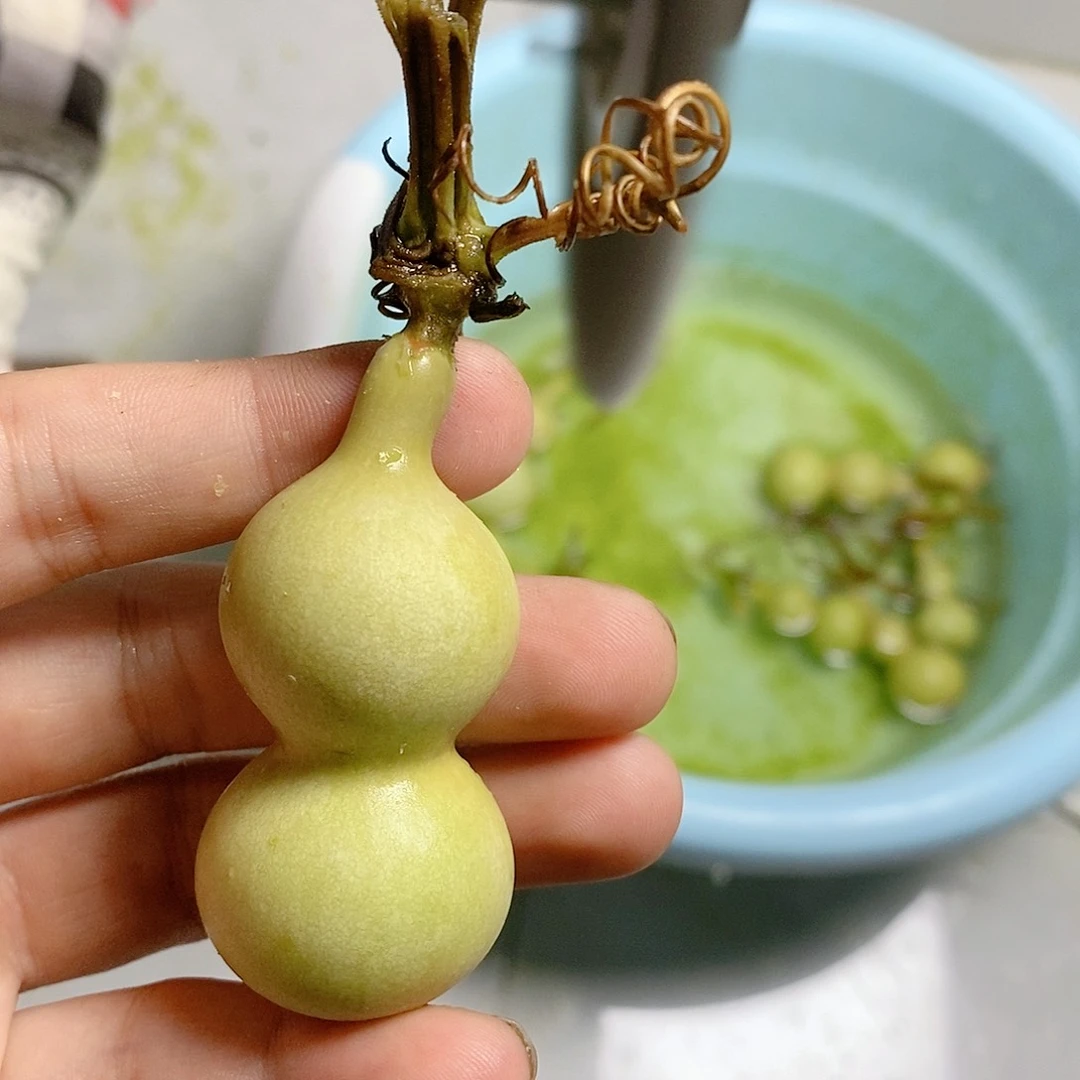 k**i14号小葫芦啊啊啊啊