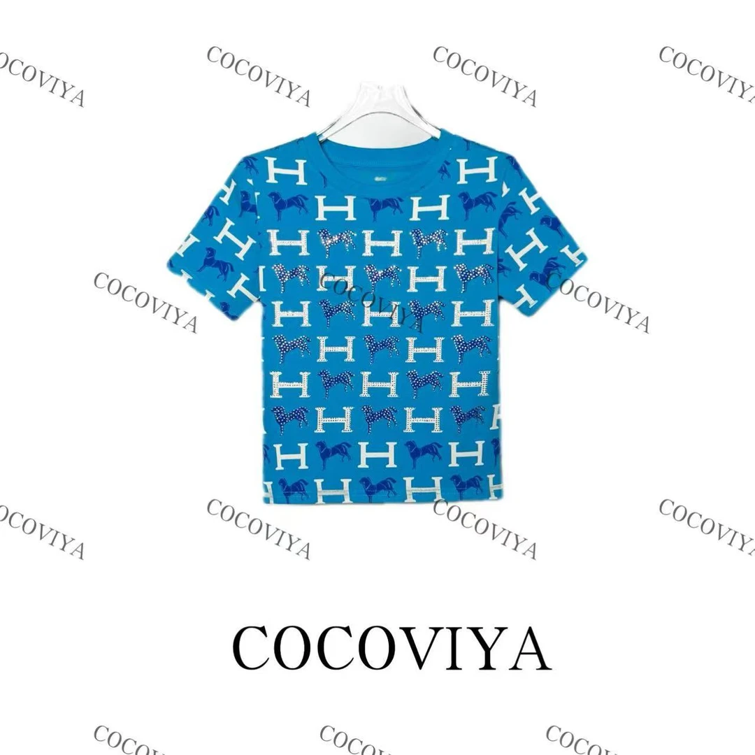 DD 2025 COCOVIYA设计感春夏百搭时尚休闲上衣26C-646