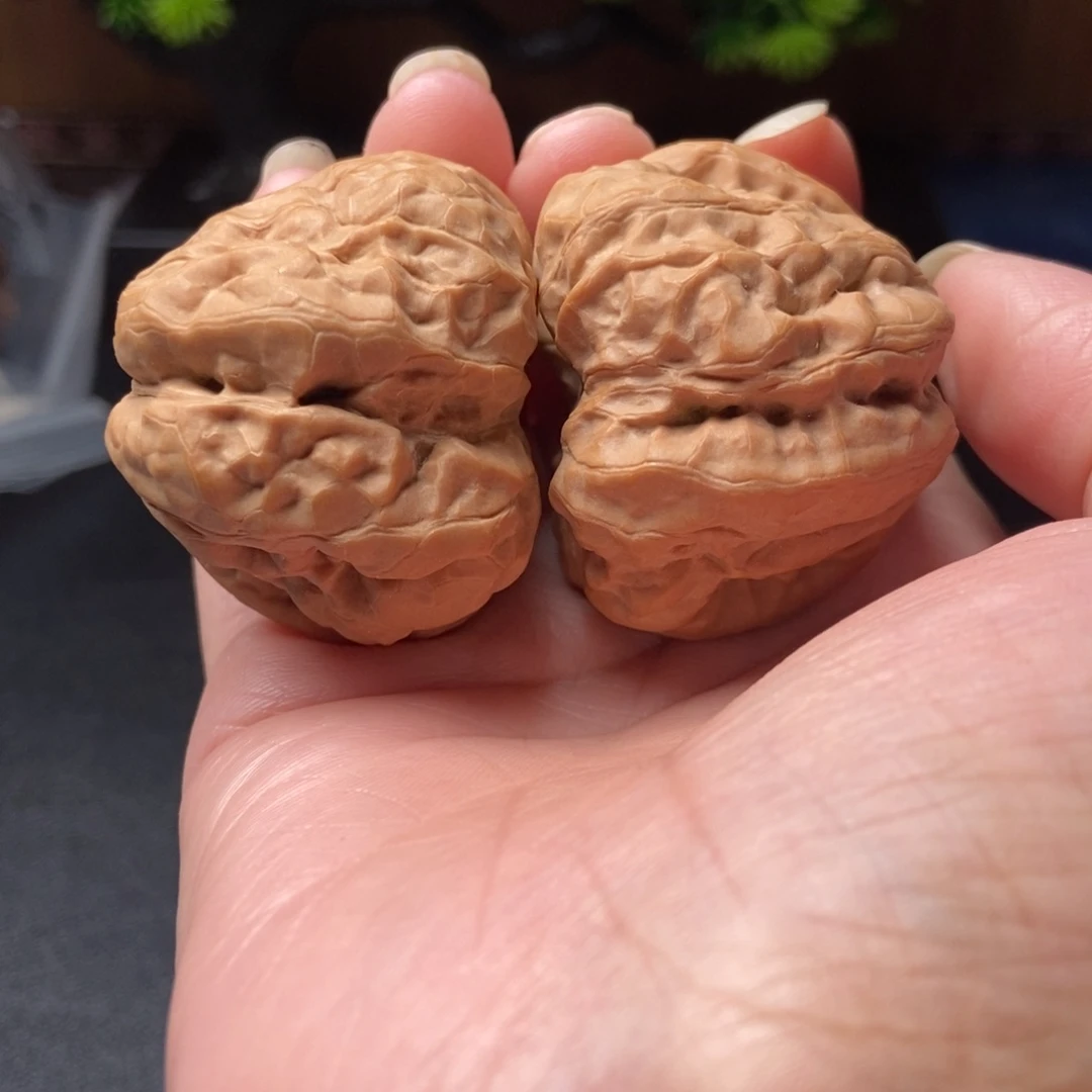 文玩核桃把件蛤蟆头42