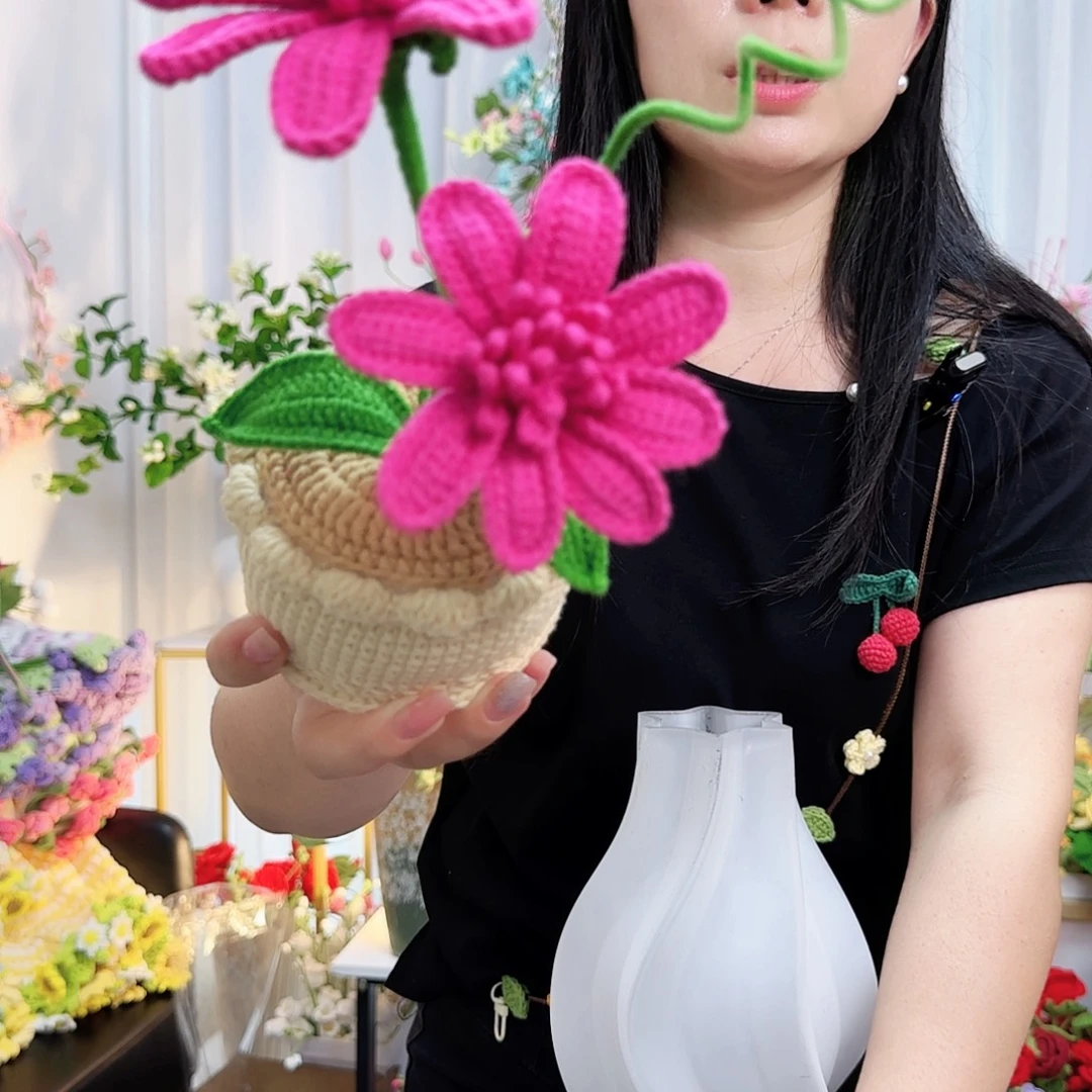 莱赛尔纤维棉手工钩织盆栽
