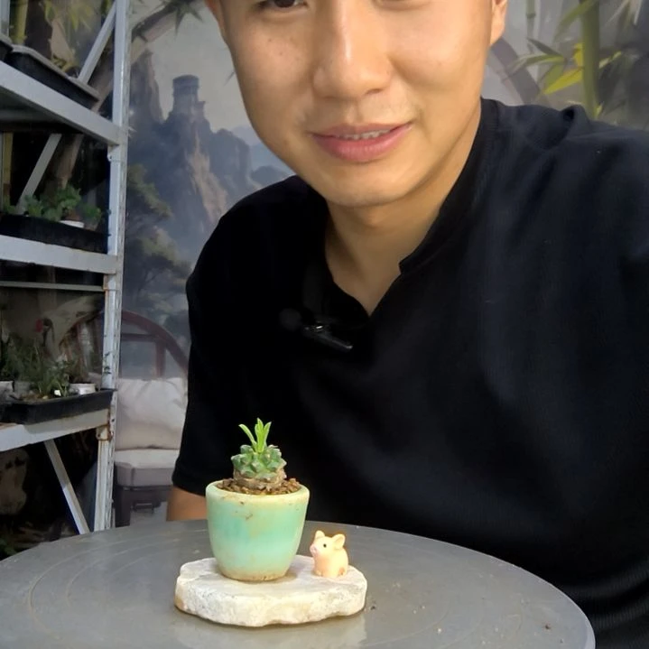 阿***姐中青园艺一物一拍2