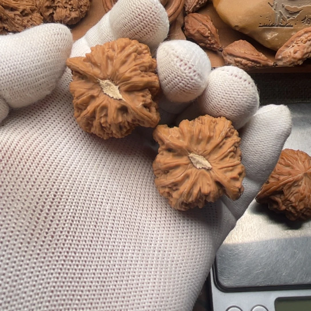 文玩核桃吊坠密纹