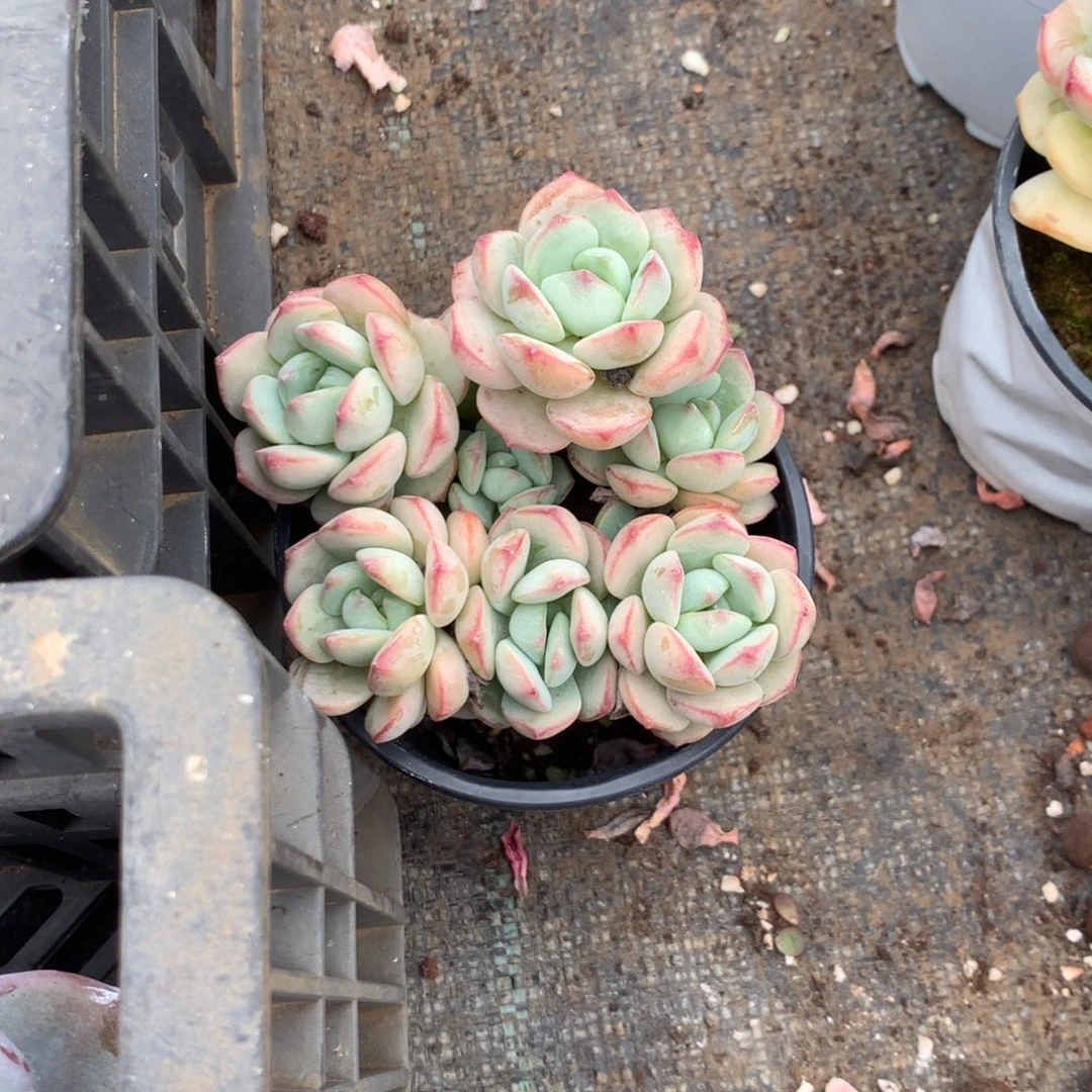 *****我们就能成为好老师和