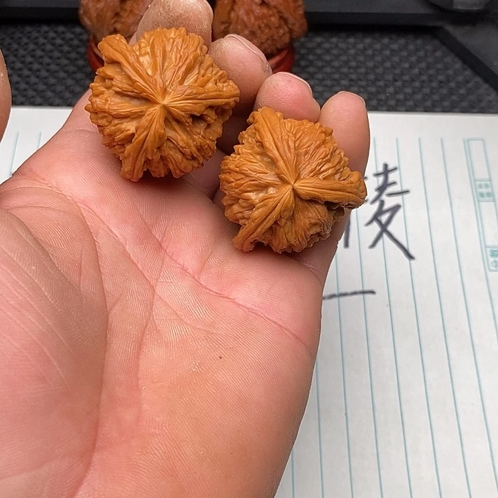 核桃把件拼接白狮子12