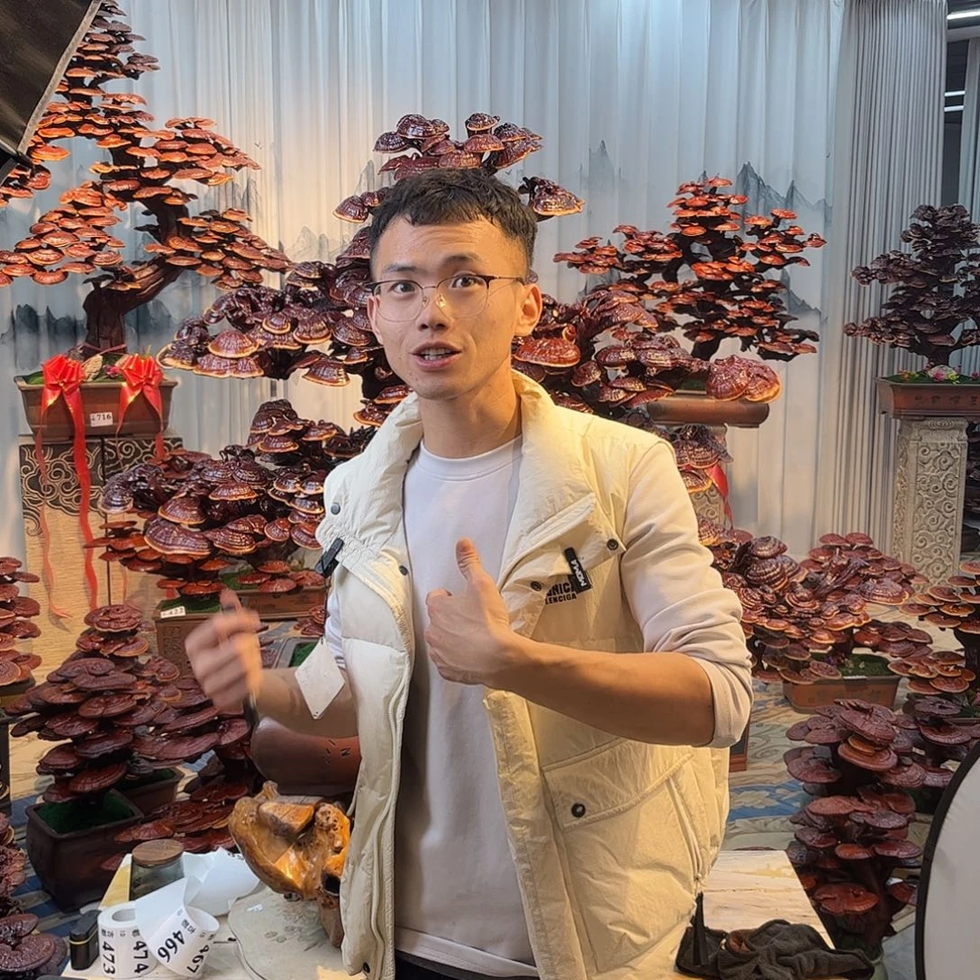 付***轩无花朵888888888888