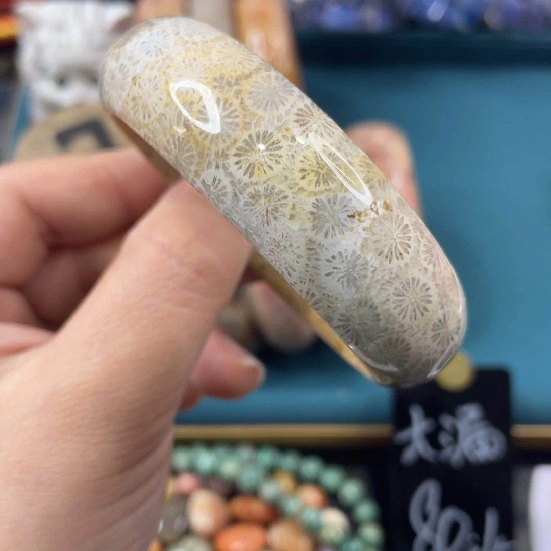 未镶嵌手镯硅化玉