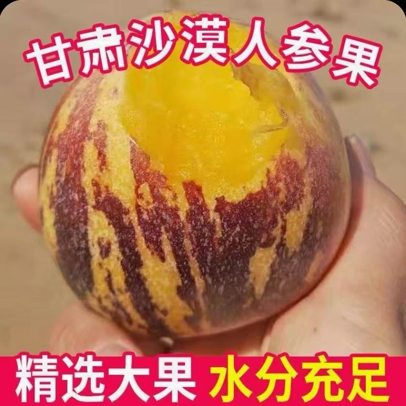 甘肃民勤新鲜沙漠低糖人参果4.5斤装单果150g+（7-16个）坏果包赔