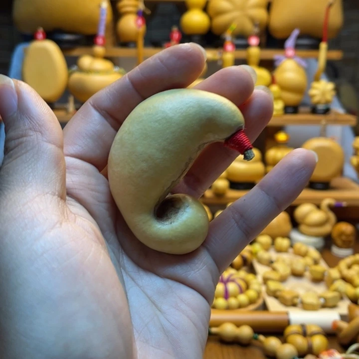 y***y天然葫芦自然生长