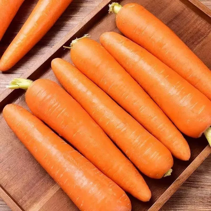 精品水洗胡萝卜约500G胡萝卜