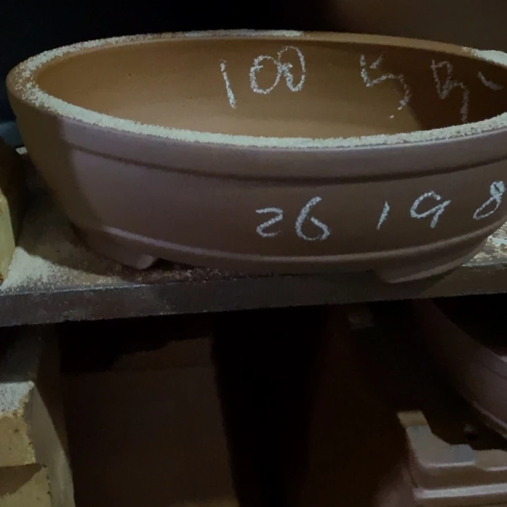 紫砂花盆只顾看手机的