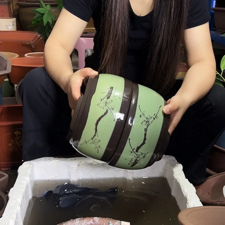 两个苹果绿萝小花盆友圈子