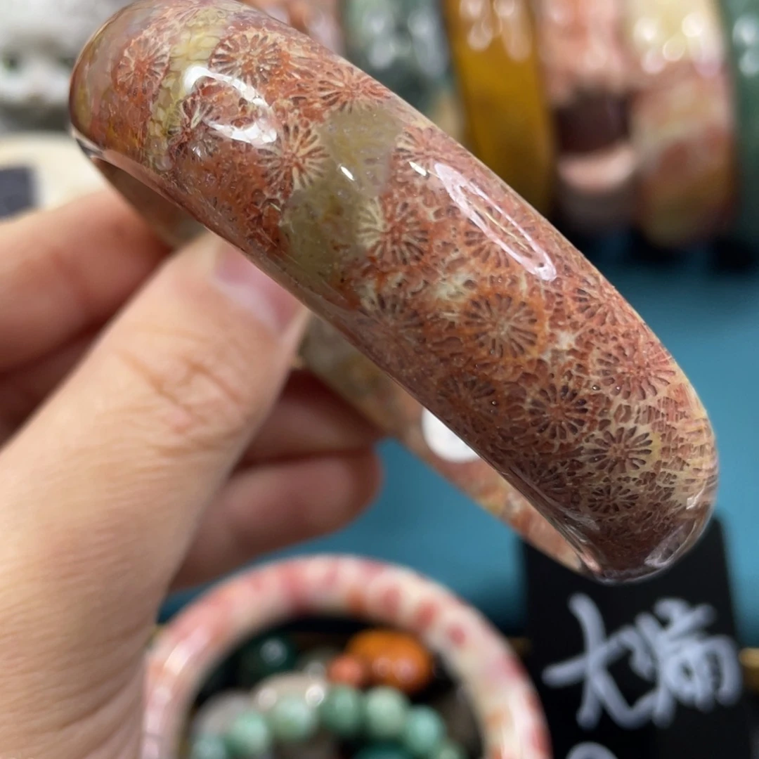 未镶嵌手镯硅化玉