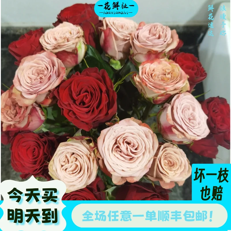 花鲜祉【高原红10枝+卡布奇诺10枝】全场任意一单顺丰包邮次日达
