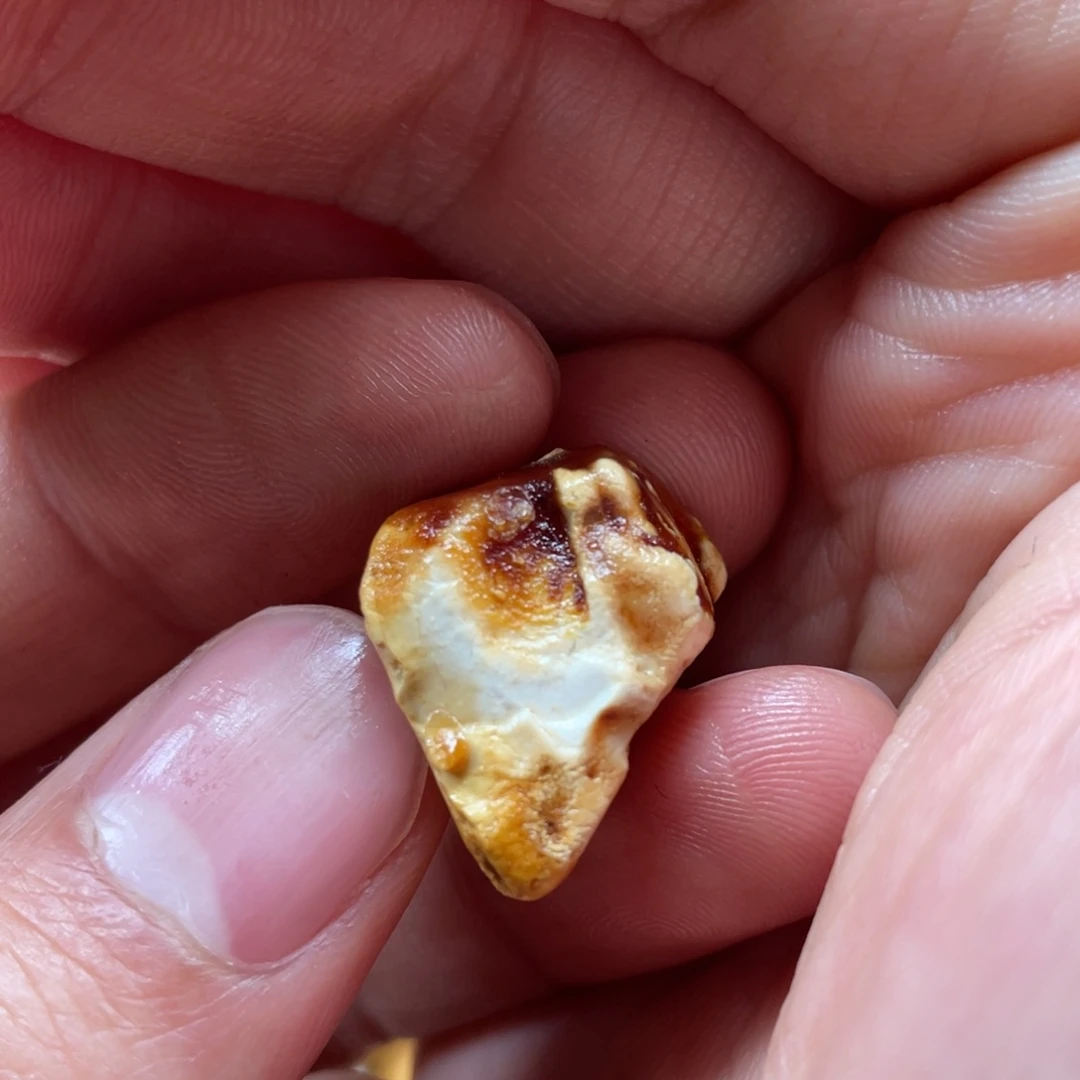 @***武定制琥珀未镶嵌天然蜜蜡