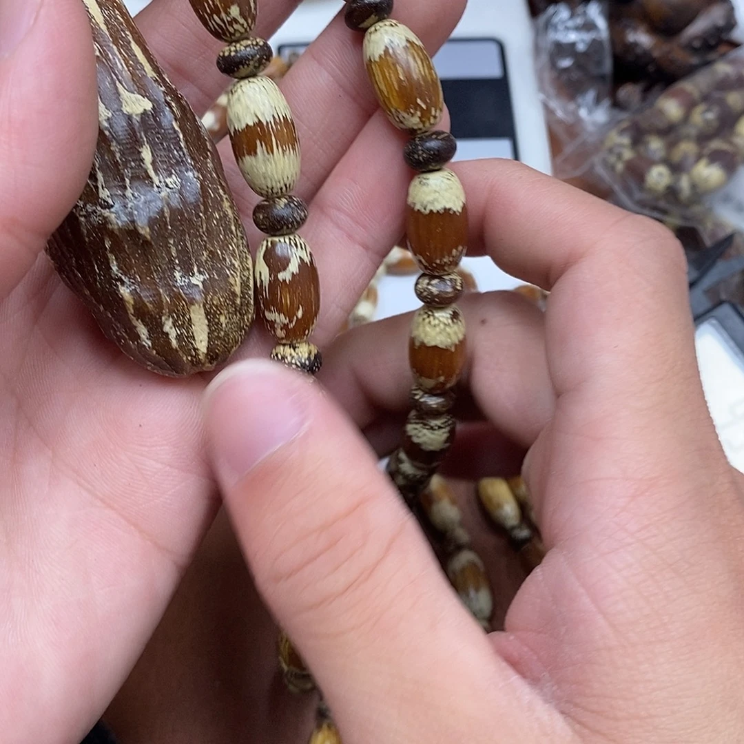 沉香沉香香囊虫漏
