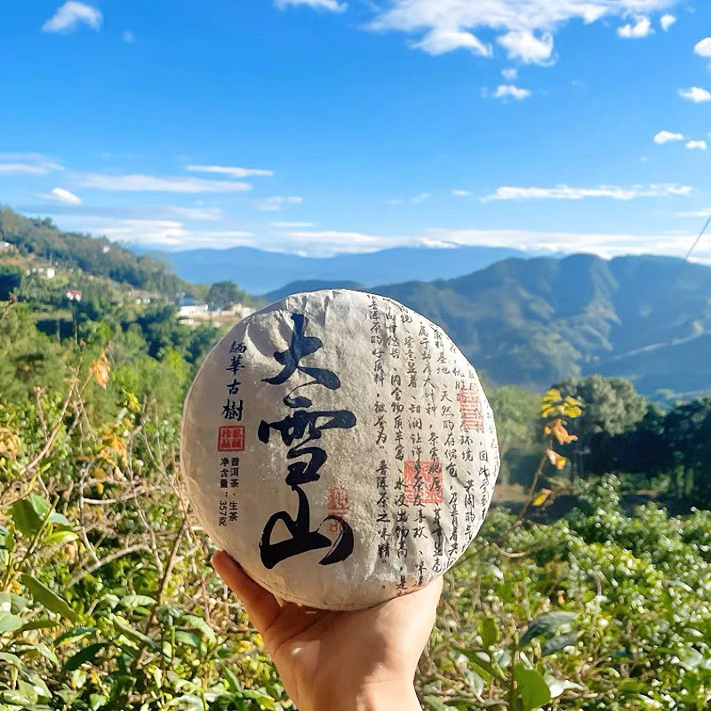 缅华古树24年大雪山古树纯料春茶紧压茶357克茶香樟香生茶普洱茶