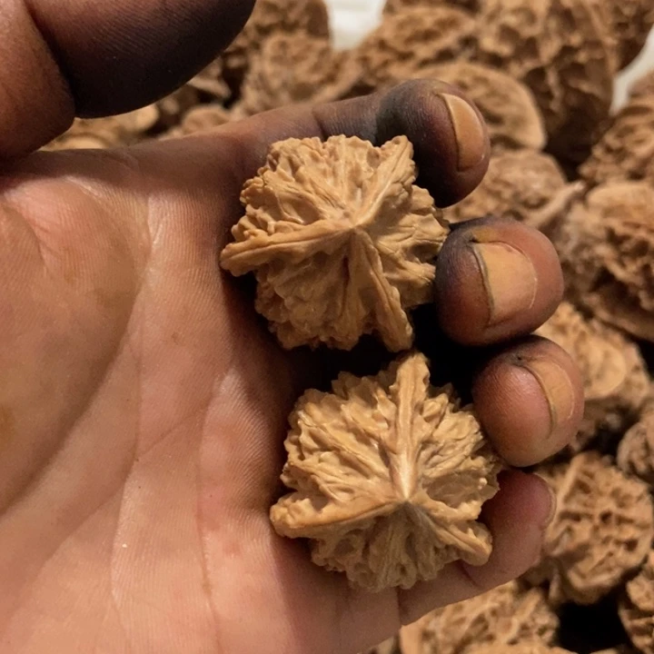 被*三棱文玩核桃的