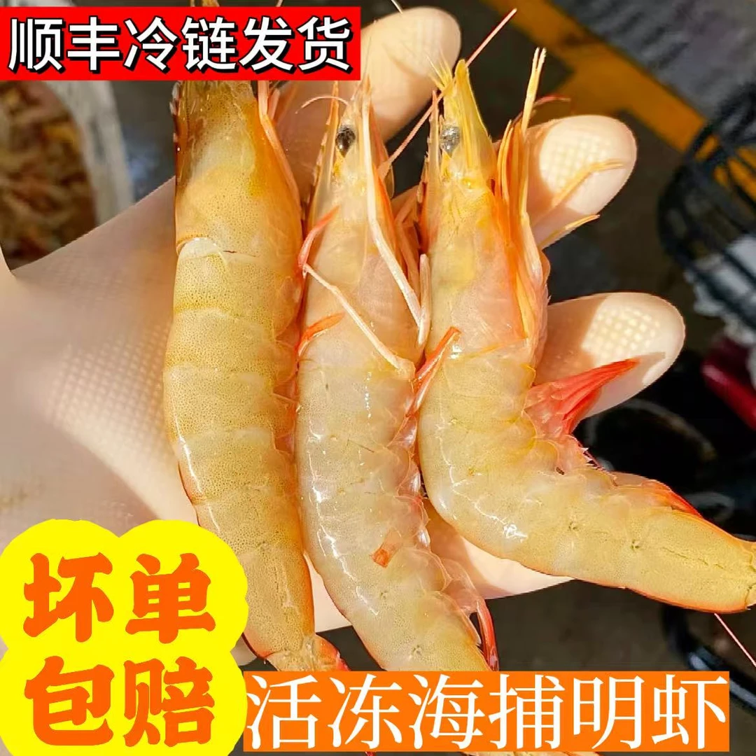 广西北海野生白刺虾明虾极速锁鲜发货全国顺丰冷链包邮