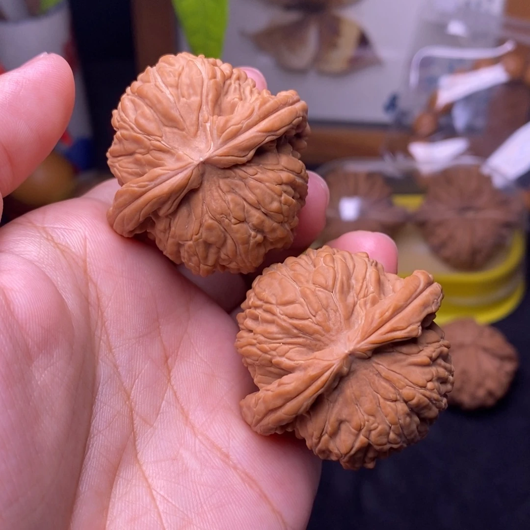把件文玩核桃42白狮子