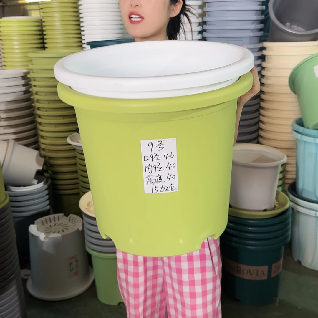 微瑕9#口径46无拖果绿3个