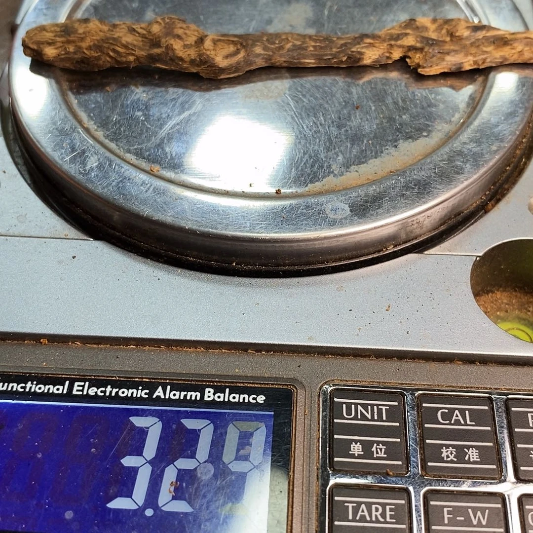 菲律宾3代达拉干味道（91401
