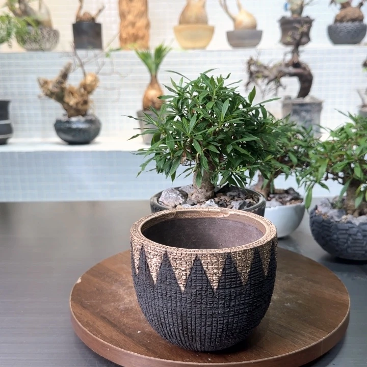 ✘***栀子花一物一拍含盆