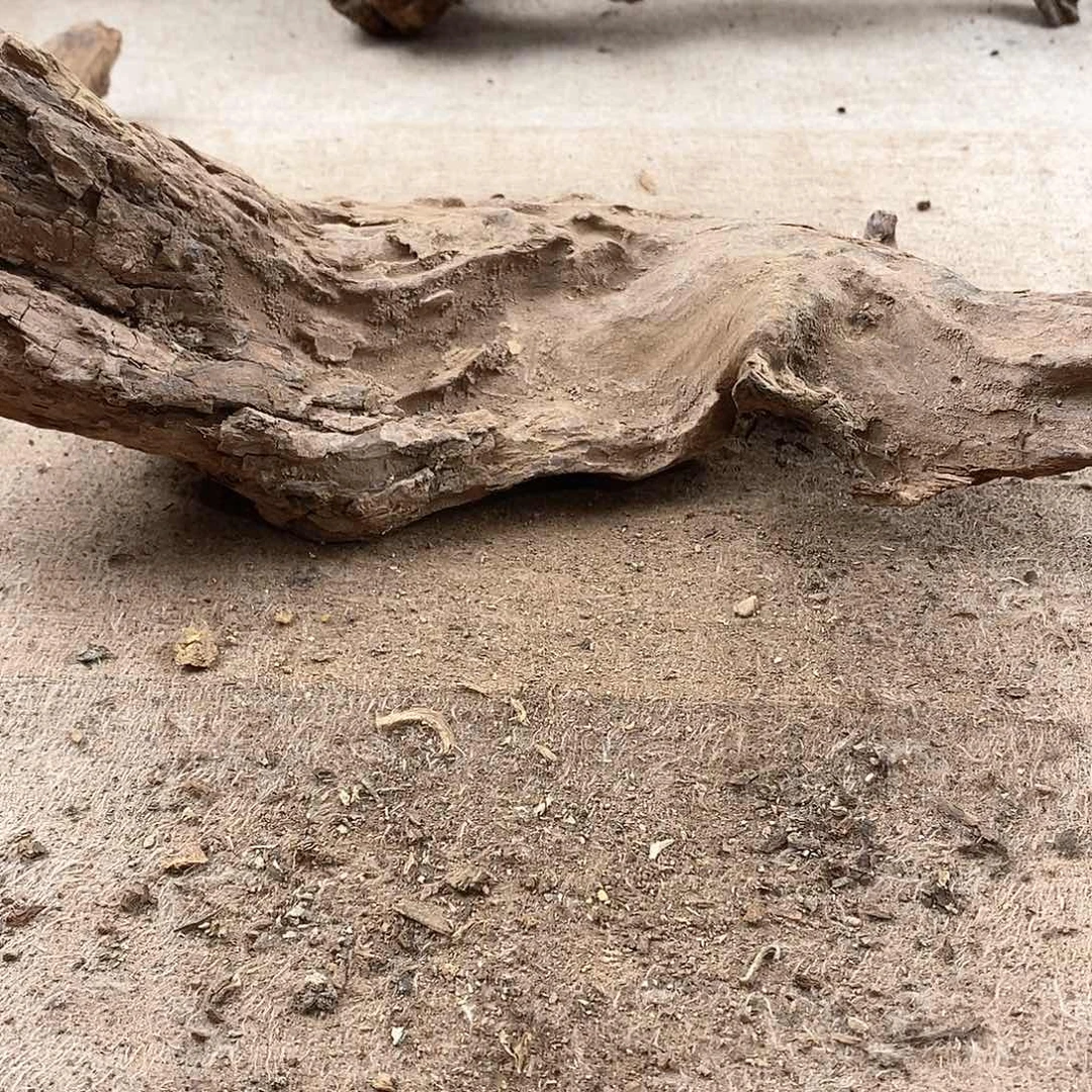 木墨****玩黄花梨随形料子