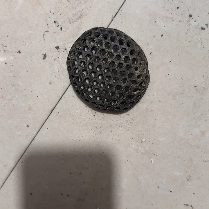 香榧木天**?Fgfgfgfhghggg