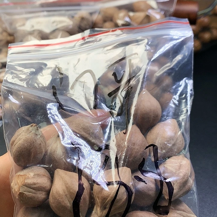 吊坠橄榄核门*橄榄核素核手串