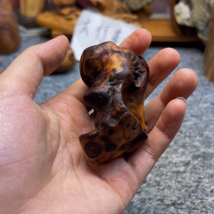 柏木（崖柏）崖柏120
