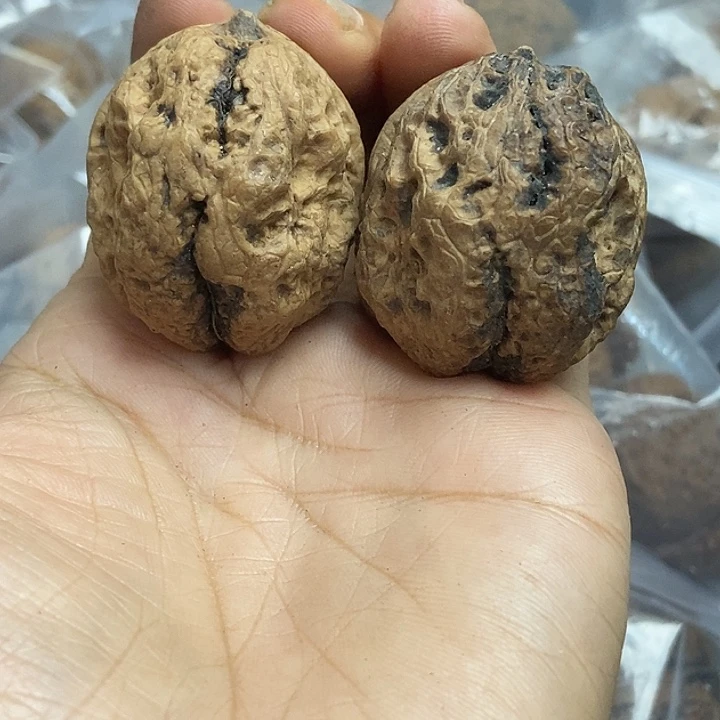 把件文玩核桃云南铁核桃基地100