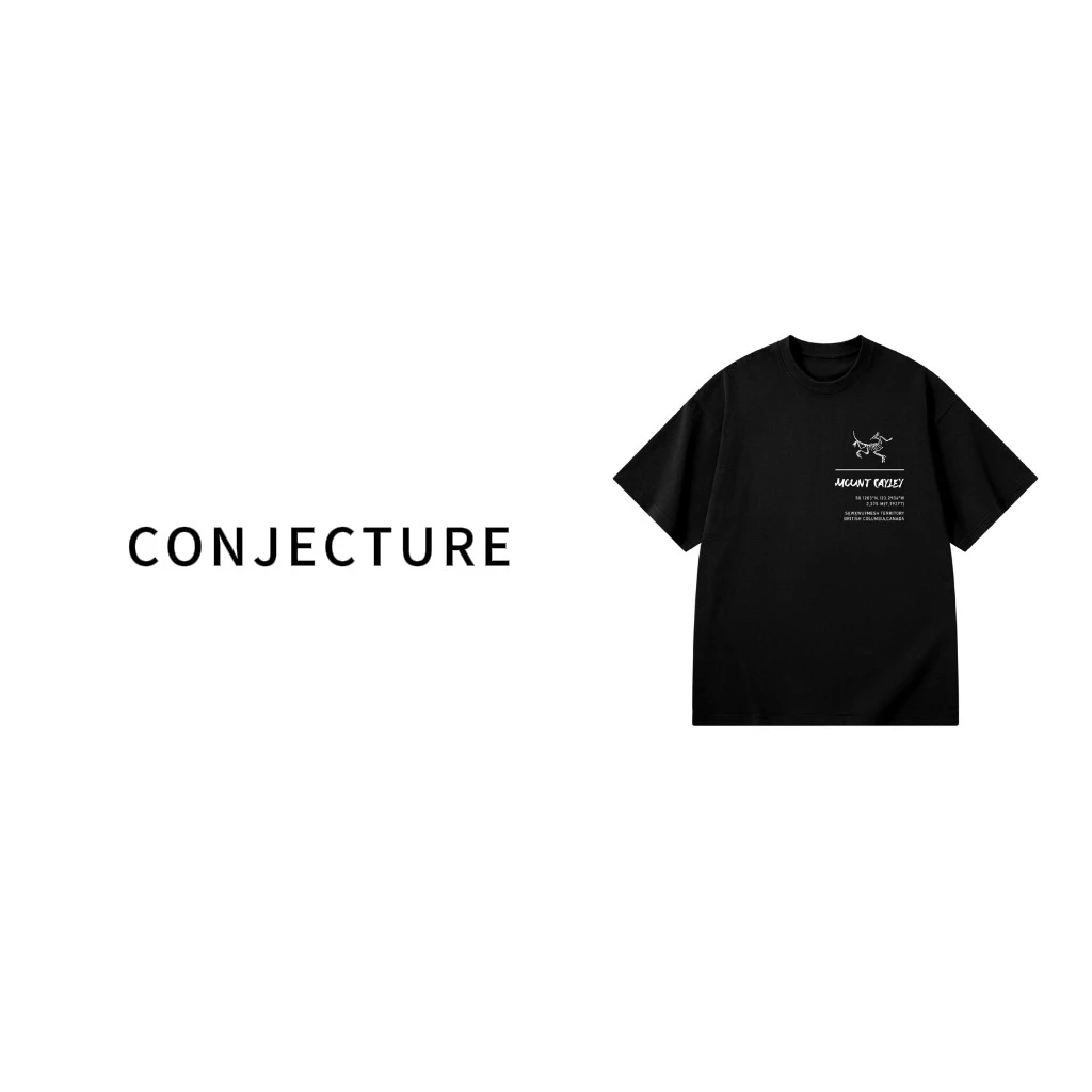 【33号链接-化石】新奢品仓男女同款简约重磅情侣百搭休闲T恤