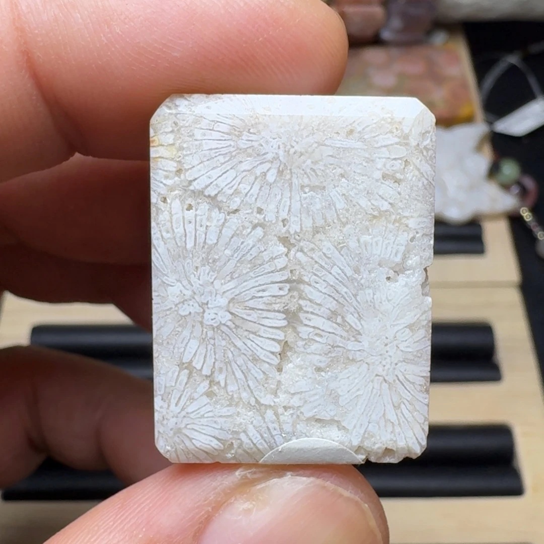 未镶嵌纯天然色有机玉石保真色硅化玉