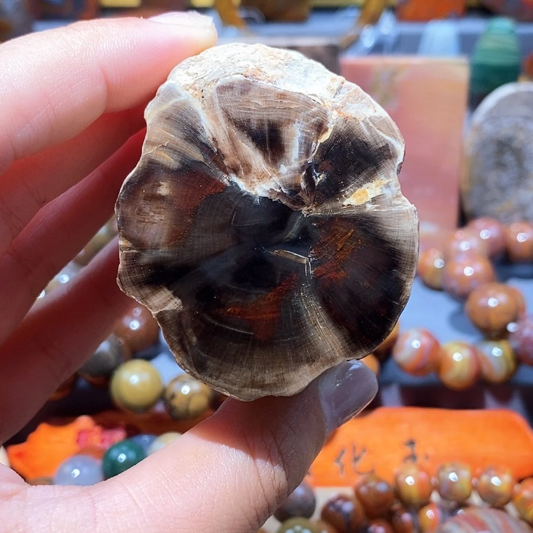 硅化玉天然北票硅化玉原石未镶嵌