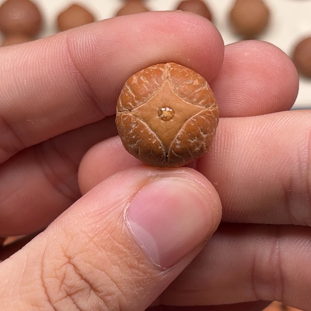 凤眼菩提吊坠18/14.6福利麒麟