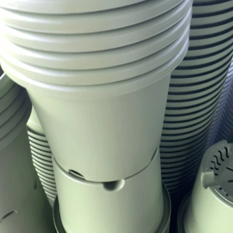 树脂25果绿无托6个