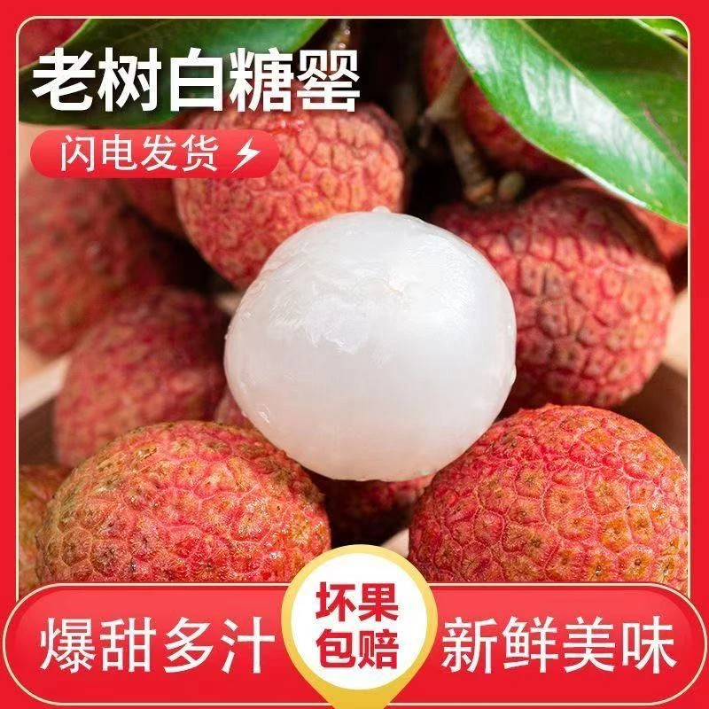ZM【顺丰冷链】正宗广东白糖罂荔枝新鲜当季精品水果纯甜直发
