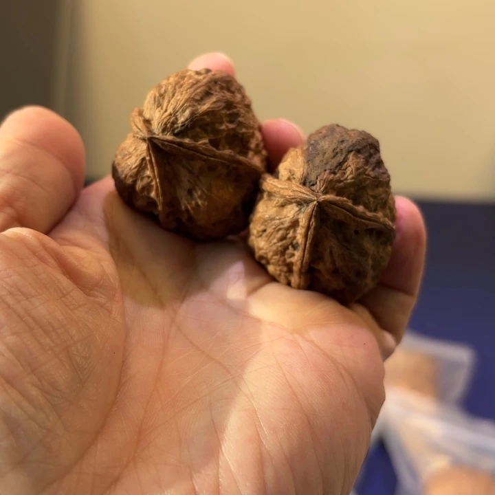 文玩核桃吊坠铁三角
