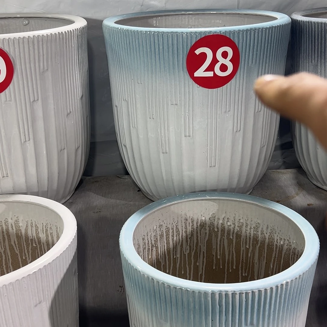 蒙***林音符兰口渐变特大微瑕