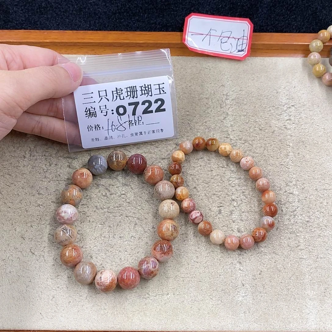 硅化珊瑚（珊瑚玉）1未镶嵌?***小