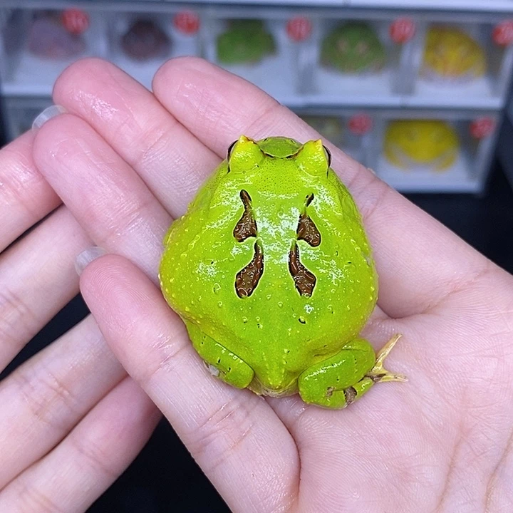 特价秒杀现货特价残