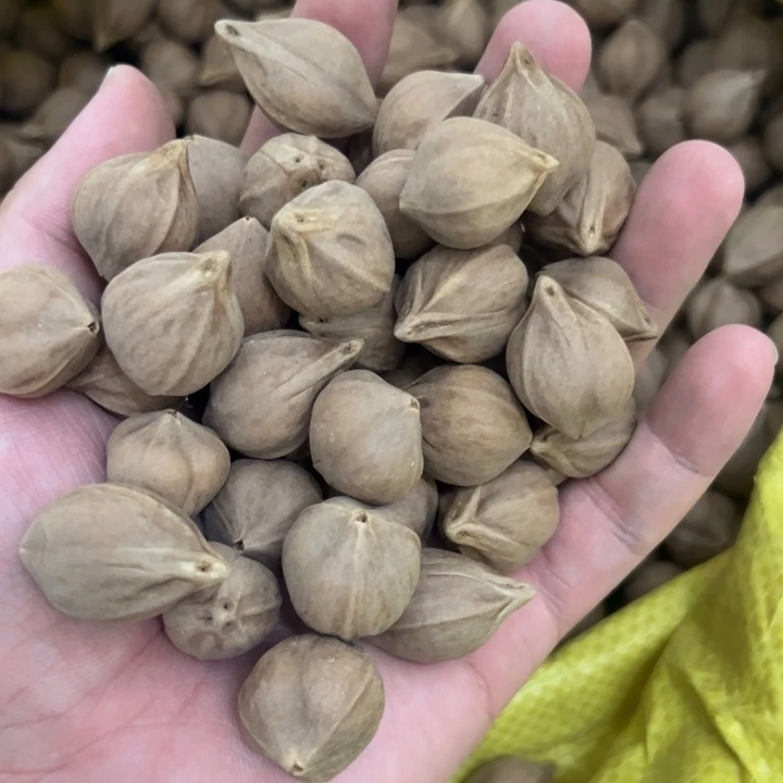 核桃其他1.7-2.2+的拳头核一斤