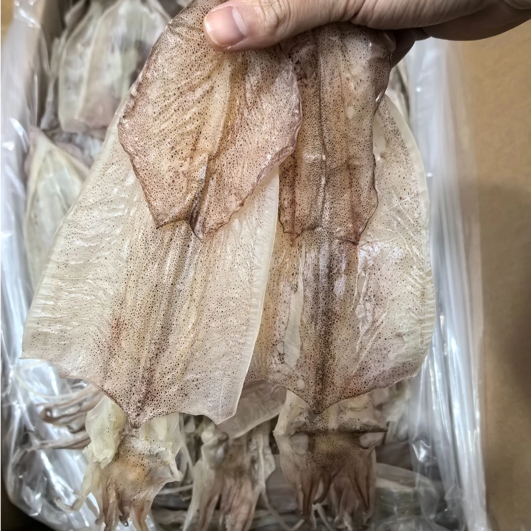 A1船晒大鱿鱼 母鱿鱼 烧烤手撕芥末鱿鱼干 炒菜煲汤煲粥