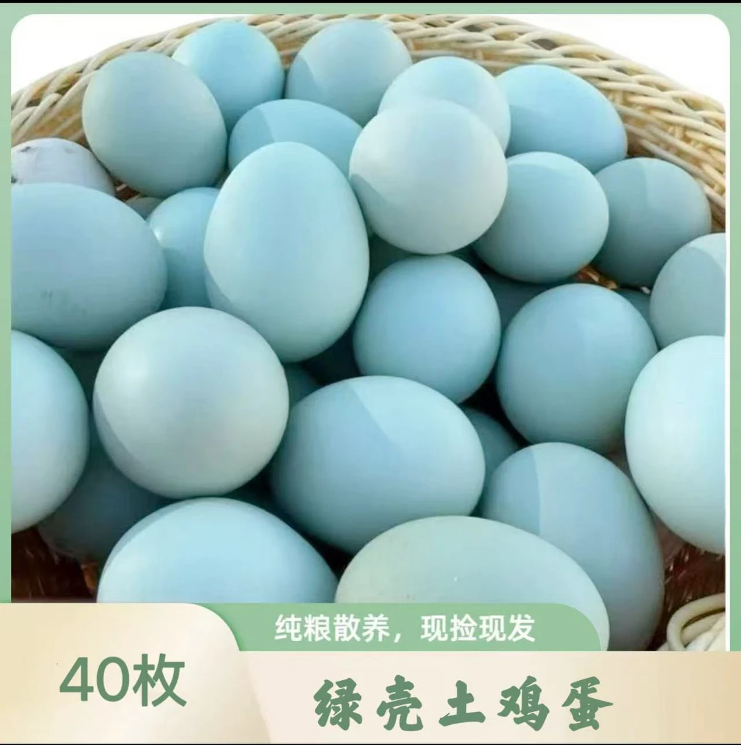 新鲜散养绿壳蛋营养美味适合月子食用