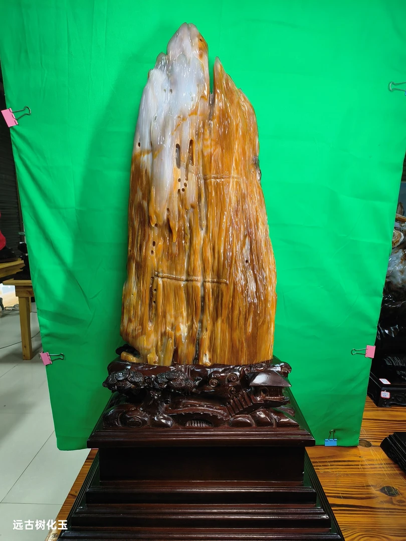 远古树化玉植物的舍利树化石木化石玉石摆件家居玄关客厅奇石摆件