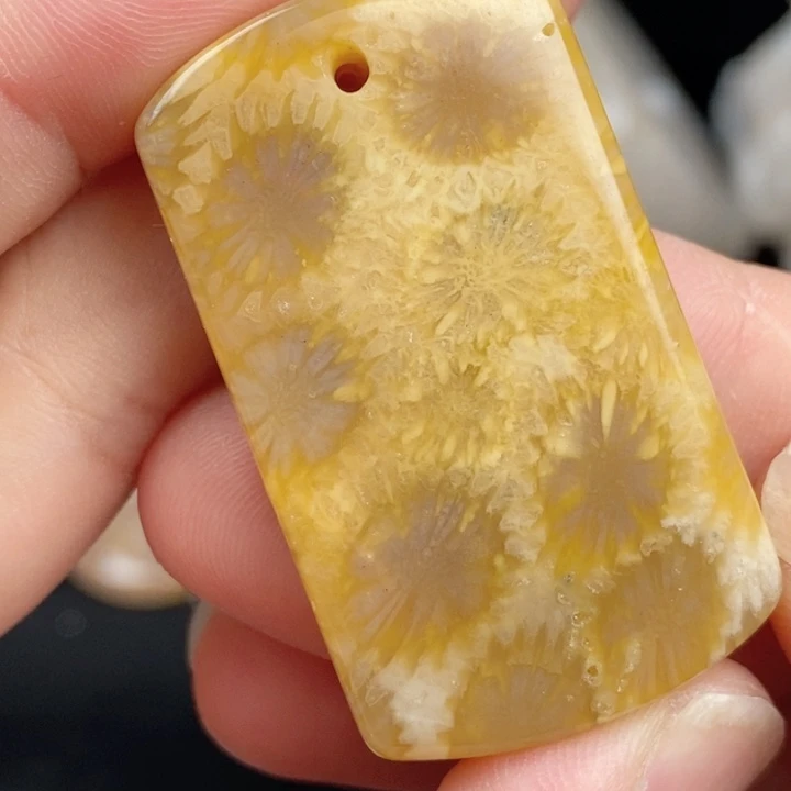 未镶嵌手镯硅化玉