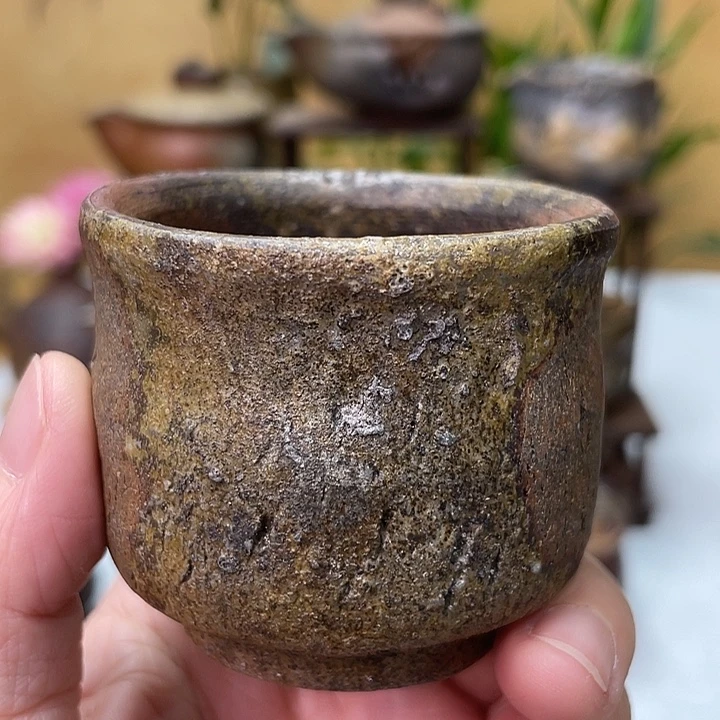 岩本修一的主人杯好