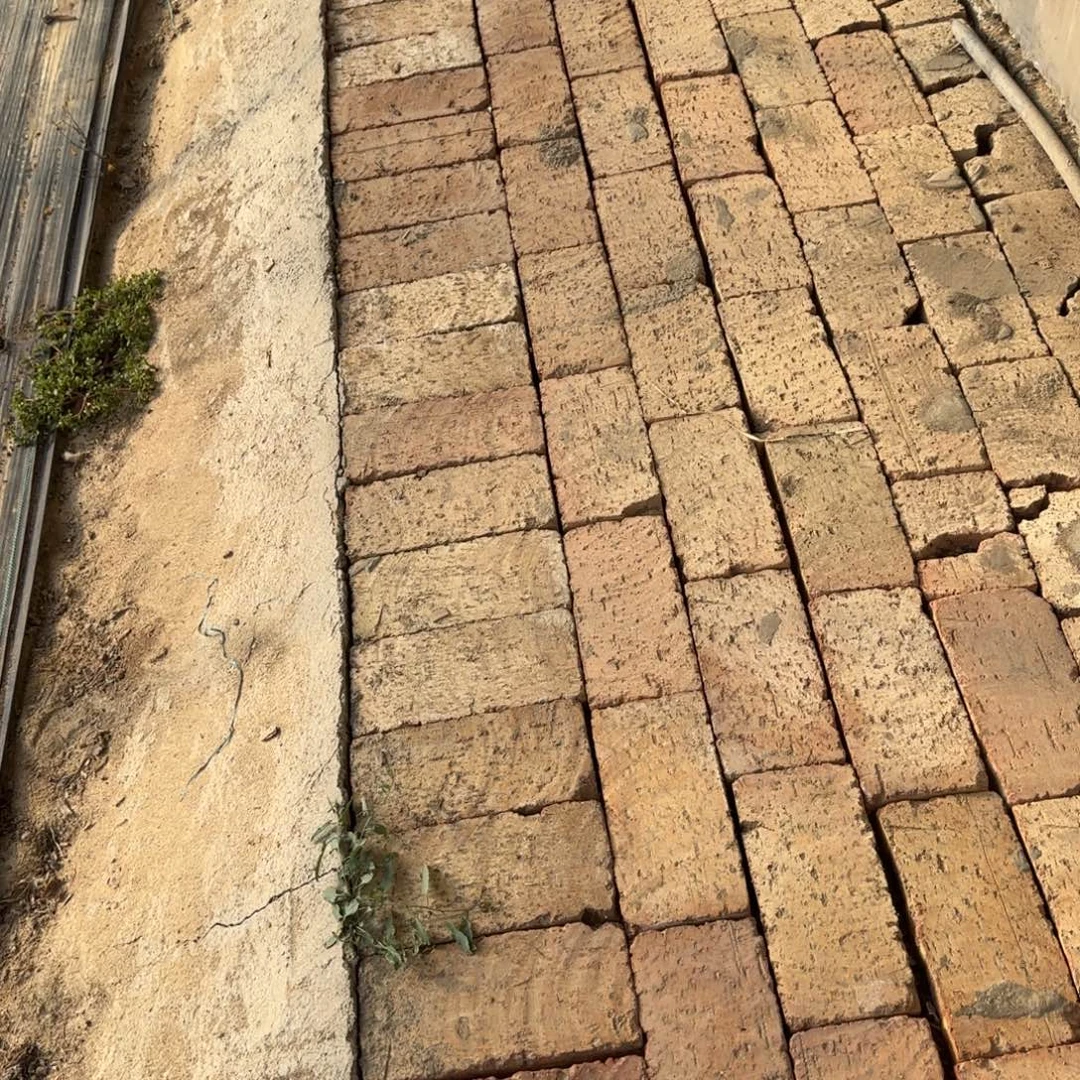 无花朵海琳娜单头