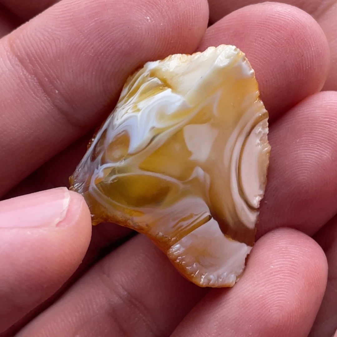 定制琥珀未镶嵌鹰****哈蜜蜡原石