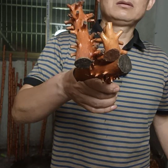 湘***罗木高山 檬子木文玩料